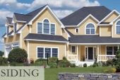  Vinyl Siding